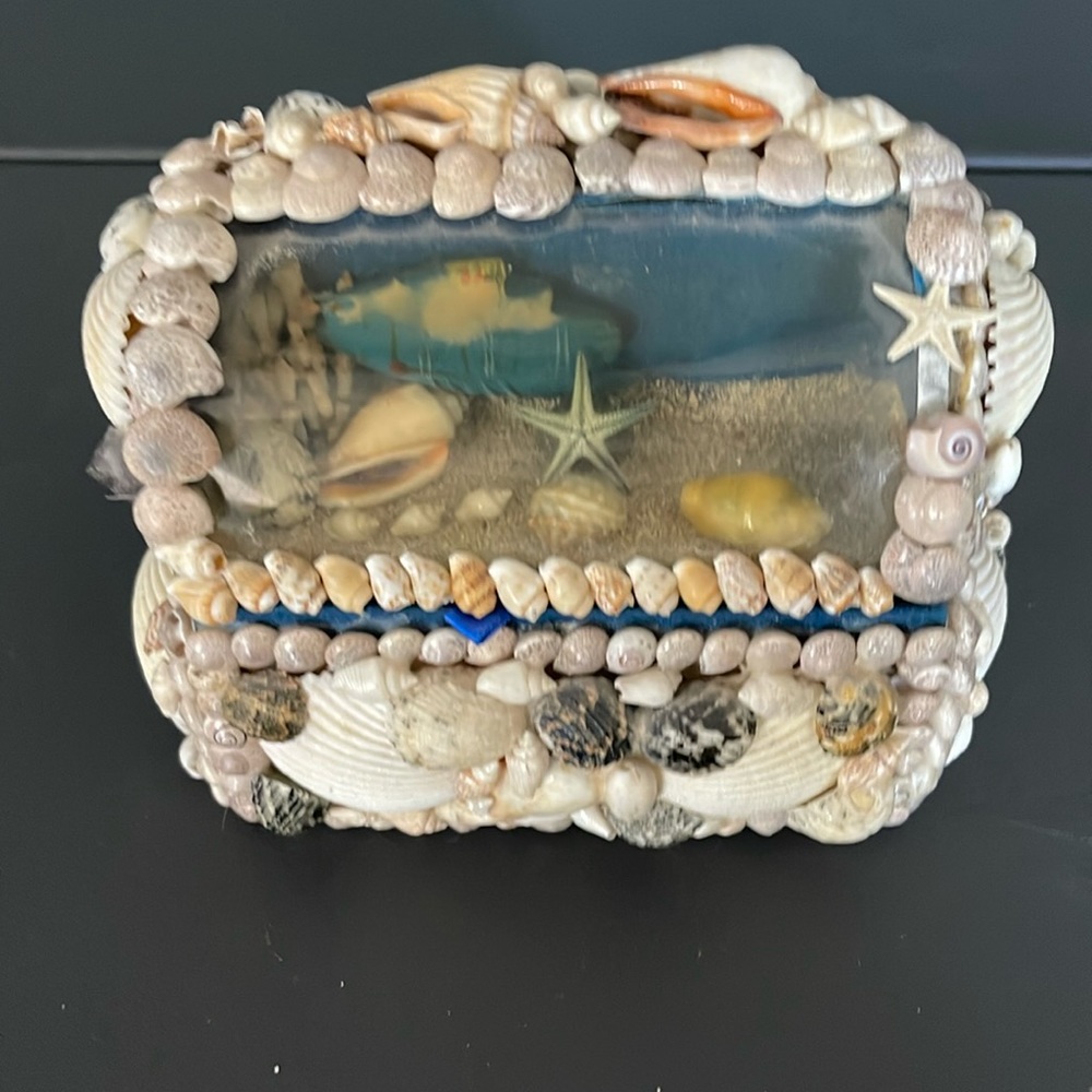Real SeaShell Jewelry Box